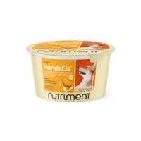 Hondenijs